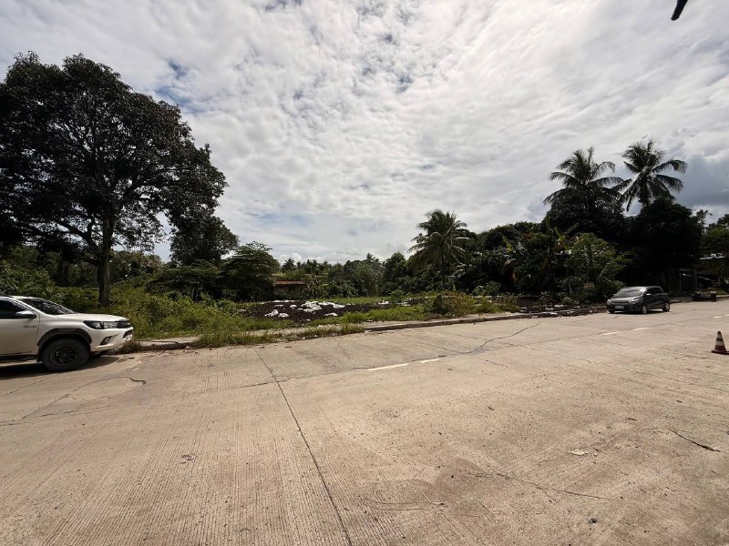 Why Choose This Semi-Industrial Lot in Tibungco, Davao City?